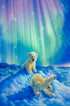 Baby Bears & Aurora Lights