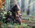 Bear with Baby in the Forest