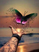 Butterfly Square Drill Painting