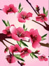Beautiful Cherry Blossoms Diamond Painting