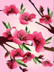 Beautiful Cherry Blossoms Paint by Diamonds