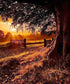 Beautiful Sunrise Paint by Diamonds