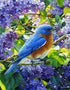 Bird Sitting in Lavender
