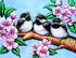 Birds Babies & Flowers