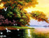 Birds Flying on the Lake