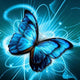 3D Butterfly Painting Kit