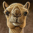 Camel Diamond Painting Kit