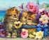 Cats & Colorful Flowers