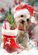 Best Christmas Painting Kit