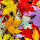 Leaves Diamond Painting Kit