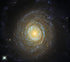 Cool Galaxy with a Hot Corona