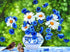 Cornflower Daisies & Sparrows