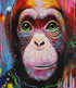 Cute Monkey with Green Eyes