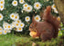 Daisy Flowers & Squirrels Diamond Painting