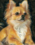 Chihuahua Diamond Painting