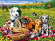 Dogs & Cats on Picnic Diamond Painting