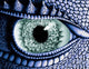 Dragon Eye Diamond Painting Kit