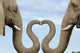 Elephants Diamond Painting Kit