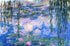 Feast of Leafs - Claude Monet