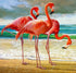 Flamingos on the Beach