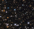 Flock of Cosmic Ducks