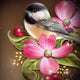 Sparrow Paint With Diamond