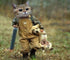 Funny Cat & Dog Painting Kit
