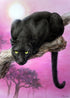 Gazing Black Panther Diamond Painting