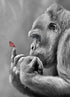 Gorilla & Butterfly Painting Kit
