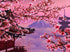 Japanese Cherry Blossoms Diamond Painting