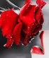 Kissing a Rose - Paint with Diamonds