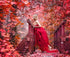 Lady Standing on the Bridge