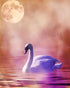 Lonely Swan - Diamond Painting Kit