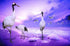Long Legged Cranes Diamond Painting