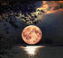 Moon by the Sea