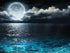 Night View Landscape