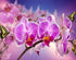 Orchids & Butterflies Painting Kit