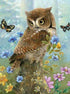 Owl & Butterflies