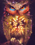 Owl's Magic Diamond Painting