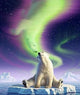 Bear Aurora Fantasy Diamond Painting