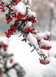 Russian Winter & Snow on Flower Diamond Painting