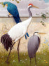 Sand Hill crane & Parrot Diamond Painting