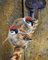 Sparrows Sitting on the Rope