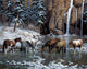 Wild Horses Paint by Diamonds