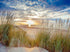 Sunset Landscape DIY Painting