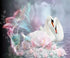 Swans & Flowers Fantasy