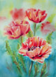 Three Poppy Flowers Paint with Diamonds