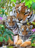 Tiger & Adorable Cubs Diamond Painting