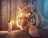 Tiger & Girl DIY Painting Kit