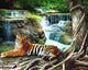 Tiger Resting by Waterfall Diamond Painting Kit
